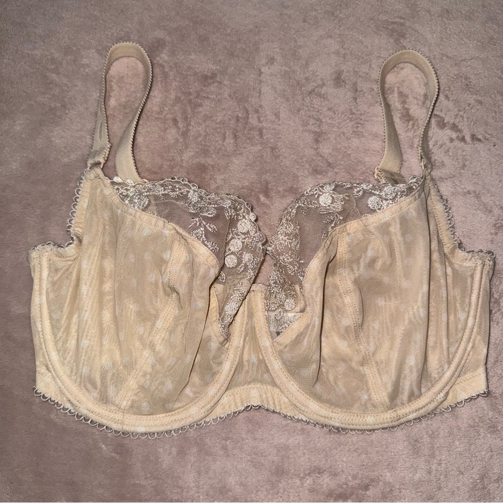 Paramour lace bra size 36G
